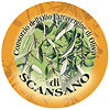 olio-scansano