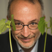 Stefano-Mancuso