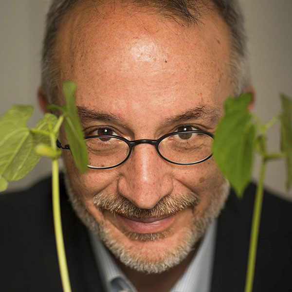 Stefano-Mancuso